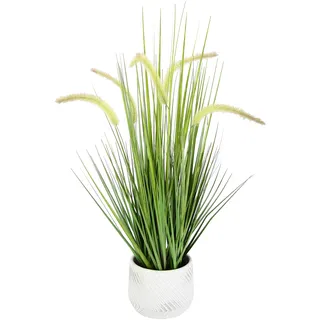 I.GE.A. Künstliches Fuchsschwanzgras mit Übertopf Kunstgras Ziergras Grünpflanzen Dekogras Grasbüschel Ziergras Solitärgras Deko Borstenhirse Süßgräser Federborstengras Lampenputzergras