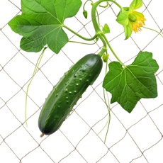 Bild Ranknetz Jute, für Kletterpflanzen, Jutenetz, 3 x 4 m, Garten, Gurken Rankhilfe, biologisch abbaubar, Natur