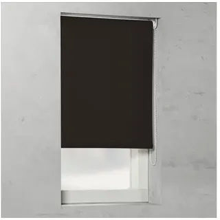 SOLUNA Tageslichtrollo T10, uni braun, 180x190 cm