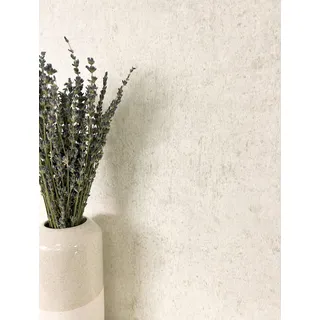 Newroom Dunya Vliestapete Creme Beton Betonoptik Skandinavisch Tapete | warme Beigetöne sanfter Naturton changierend matt, wolkiger Sichtbeton, ansatzfrei, Wandtapete Mustertapete, Schlafzimmer