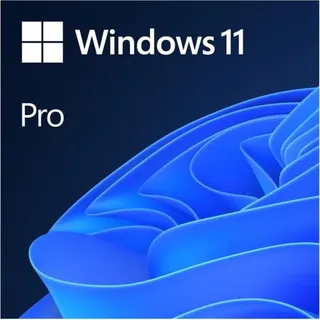 Microsoft Windows 11 Pro 64-Bit ESD DE