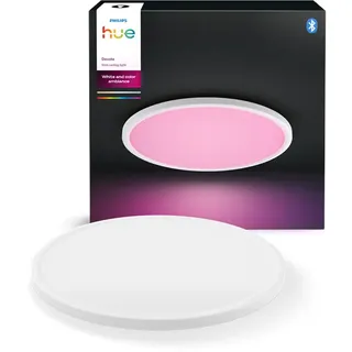 Philips Hue Devote ceiling lamp