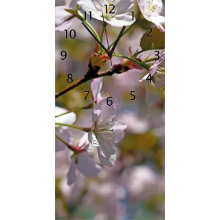 Wallario Design Wanduhr Kirschblüten in zartem Rosa - Frühling im Garten aus Echtglas, Größe 30 x 60 cm - Gelb
