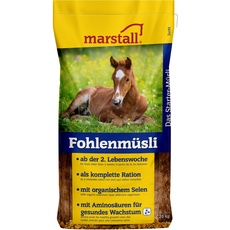 marstall Premium-Pferdefutter Fohlenmüsli, 1er Pack (1 x 20 kilograms)