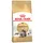 Maine Coon Adult 4 kg
