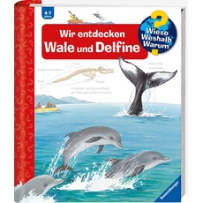 Wieso? Weshalb? Warum?, Band 41: Wir entdecken Wale und Delfine (Wieso? Weshalb? Warum?, 41)
