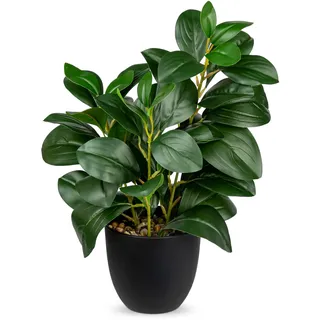 Briful Künstliche Zimmerpflanze Kamelie Kunstpflanze Camellia Japonica im Kunststofftopf Dekorative Seidenblumen Kamelie Kunstblumen für Home Hotel Dekoration (Grün)