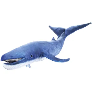 Blauwal/Blue Whale