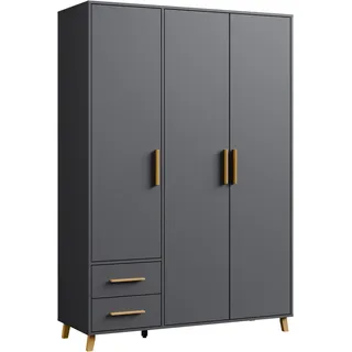 Rauch Drehtürenschrank Shinjo 140 x 203 x 53 cm Grau