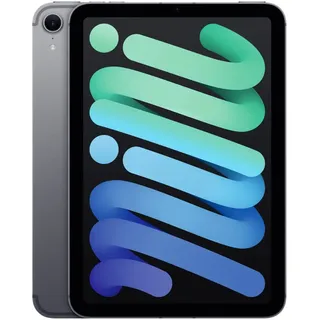 iPad mini (7. Generation 2024) 256 GB Wi-Fi + Cellular Space Grau