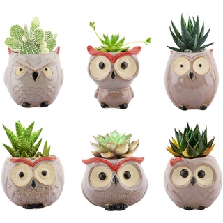 Lewondr Succulents Flowerpots, 6 Pack 2.5 inch Owl Flower Pot Bonsai Plant Pots Ceramics Planter Container Set for Home Office Desk Shelf Window Décor, Colorful 02