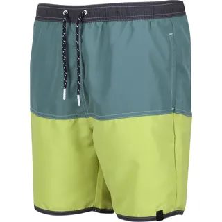 Regatta Benicio Swim Short SeaPne/GrnAl XXXL