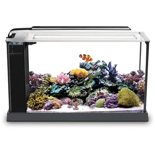 Fluval Evo V Aquarium-Set für Aquarien, 5,7 l, Schwarz
