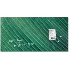 Bild von Glas-Magnettafel Artverum Palm Leaf (B x 46 cm,