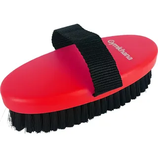 Gymkhana große bunte Kardätsche Rot