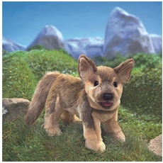 Bild Shepherd, German Puppy
