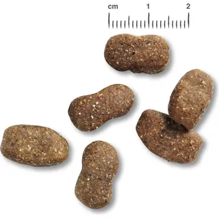 Adult Lamb & Rice 2 x 12,5 kg