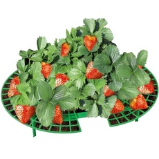 Bild Erdbeer-Reifer