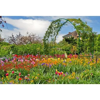 Papermoon Fototapete »GARTEN MONET-BLUMEN BÄUME PFLANZEN PARK STEINE BLÜTEN«, bunt