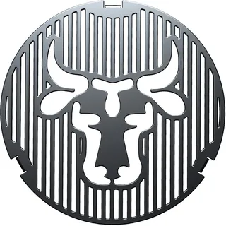 Grilleinsatz Feuerplatte ø 20cm für Grillplatte Feuertonne Kugelgrill Stahl