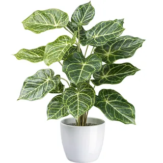 Creativ green Künstliche Zimmerpflanze »Nephtytispflanze« mit detailgetreuen Blättern, grün