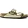 Arizona Birko-flor Gold