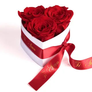 ROSEMARIE SCHULZ Heidelberg Infinity Rosenbox Herz - 10x12cm 3 konservierte Rosen haltbar 3 Jahre Frauen - Beste Freundin Geschenke (Ti Amo, Rot)