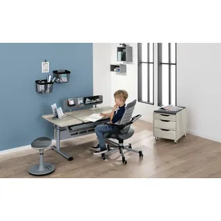 Paidi Kinderschreibtisch Diego Eiche