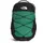 Borealis Classic 29 l grün/schwarz