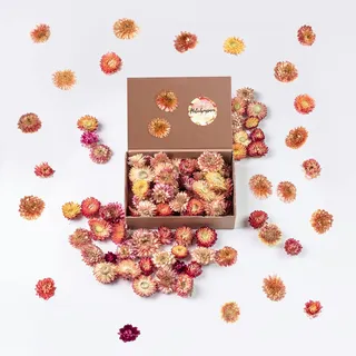Kunstharz.Art Getrocknete Blumen als Sommerdeko und zum Kranz Basteln - Lachs Rosa Strohblumen Trockenblumen - Natürliche Streudeko - Frühling und Sommer Tischdekoration