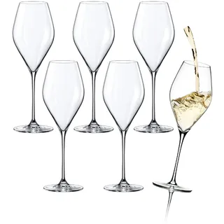 RONA SWAN Weißweingläser 6er Set aus klarem bleifreiem Kristallglas, 430 ml | Maschinell gefertigt, Kristall Weingläser Set mit schlanker SWAN-Form, jedes Weißweinglas für moderne und klassische Tafeln