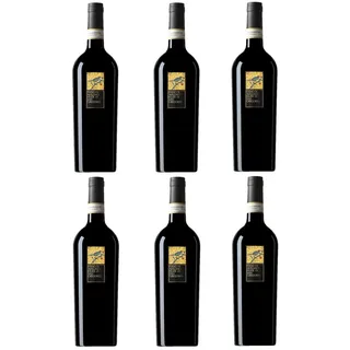 Feudi di San Gregorio Wein Fiano Di Avellino - Karton 6 Stück