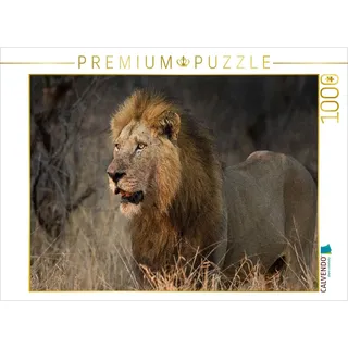 CALVENDO Puzzle Löwe Afrikas Tiere im Fokus 1000 Teile Puzzle quer | Lege-Größe cm Foto-Puzzle für glückliche Stunden