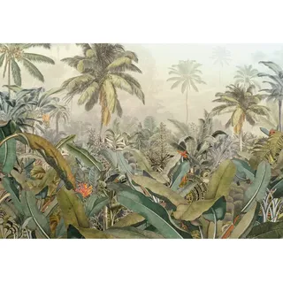 KOMAR "Vlies Amazonia 368 x 248 cm)