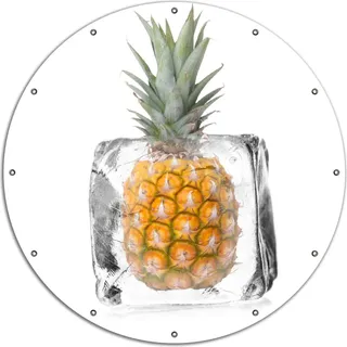 Wallario rundes Outdoor-Poster für Garten oder Balkon, Motiv Ananas in Eiswürfel - Eiskaltes Obst, 120 cm Durchmesser - Weiß