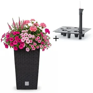 Blumentopf mit Einsatz Bewässerungssystem Pflanztopf Blumen Anthrazit 50 cm