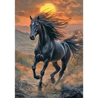 DCIDBEI Diamant Painting Bilder Pferd Springen 40x50cm DIY Diamant Malerei Malen nach Zahlen Friese Pferd Diamond Painting Pferde Schwarz Sonnenuntergang Strass Stickerei Leidenschaft Mut Loyalität