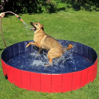 LIONTO Hundepool faltbar aus kratzfestem PVC-Material, Ø 160 cm, Höhe 30 cm, Anti-Rutsch-Belag & Abflussstopfen für schnelle Entleerung, Keine Pumpe benötigt, robuster Kinderpool, blau/rot