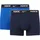 Obsidian/Game Royal XS