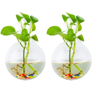 Glasseam Wandbehang Glas Pflanzgefäße 2Stk. Sphärische Form Pflanzentöpfe Terrarium Behälter Vase mit 2,12 Unzen Bunte Steine ​​Indoor Outdoor für Hausgarten Büro Hochzeit