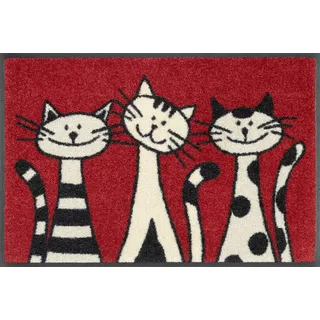 Wash+Dry Fußmatte Three Cats 40x60 cm, innen und außen, waschbar