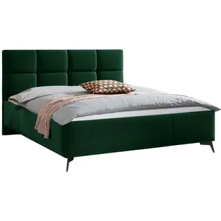 Mirjan24 Polsterbett Genua, - Grün , Metall , Rechteckig , 160x200 cm) , Schlafzimmer, Betten, Polsterbetten