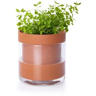 Phoenix Vine 10,2 cm selbstbewässernder Pflanztopf aus Terrakotta-Ton, mit Glasspeicher für Zimmerpflanzen, Kräuter, Blumen, 1er-Set, 52-A-E-1