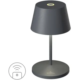 VILLEROY & BOCH LED-Tischlampe SEOUL RC anthrazit indoor outdoor fernbedienbar