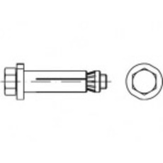 Bild von Alstertaler Schrauben & Präzisionsteile Hollo-Bolt 60mm Stahl feuerverzinkt 820310200120060 1St.