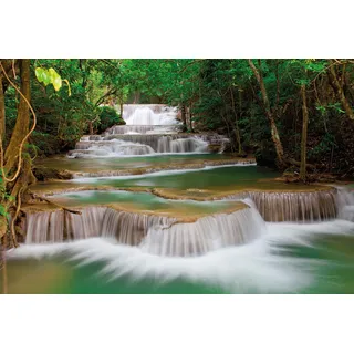 Papermoon »Deep Forest Waterfall« bunt,