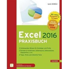 Excel 2016 Praxisbuch
