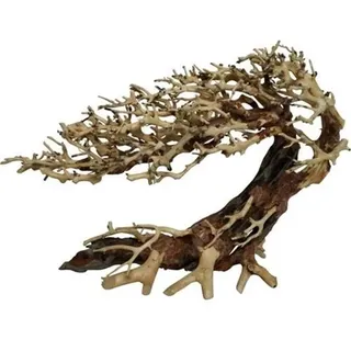 4FISH Tree roots Elegant Brazilian tree 50x20x40cm
