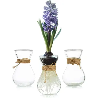 Propagation Station Hyazinthenglas Geschenke für Pflanzenliebhaber: Hewory 3 Hyazinthengläser Kleine Vasen für Tischdeko - Ableger Pflanzen Glas Blumenvase Glas Hyazinthenvase Hydroponic Vase