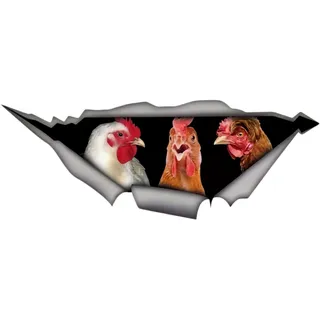 Autoaufkleber Lustiges Huhn Peeking 14cm 2 Stück Vinyl wasserfest kratzfest Stoßstangenaufkleber Fahrzeugaufkleber Auto SUV Motorrad Helm Laptop Fenster Outdoor Dekor